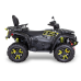 TGB Blade 1000 LTX LED MAX EPS T3b LIMITED