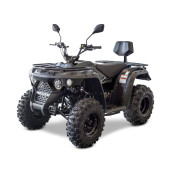 Linhai M210 EFI T3b