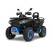 Segway Snarler AT6 L Limited EPS T3b