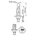 Set 2 becuri H1 12V 55W Long Life Ecovision Philips