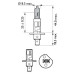 Set 2 becuri H1 12V 55W WhiteVision Ultra Philips