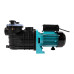 Pompa piscina Detoolz, 0.60 kW, debit maxim 11000 l/h, inaltime maxima de pompare 12.5m