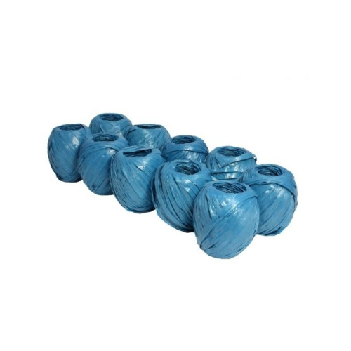 Set 10 ata rafie 100gr